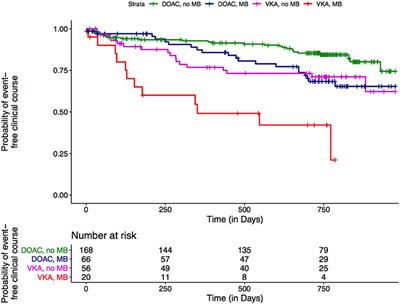 Impact of type of oral anticoagulants in patients with cerebral microbleeds after atrial fibrillation-related ischemic stroke or TIA: Results of the NOACISP-LONGTERM registry